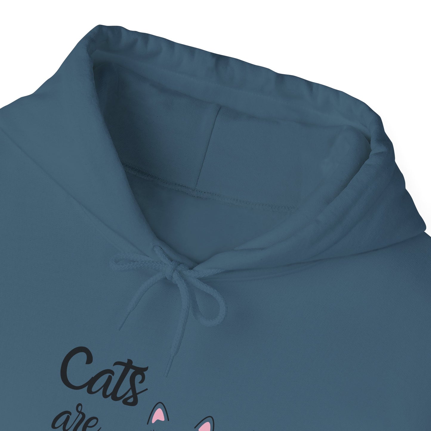 Unisex Heavy Blend™ Hooded Sweatshirt - Cats are Fabulous print