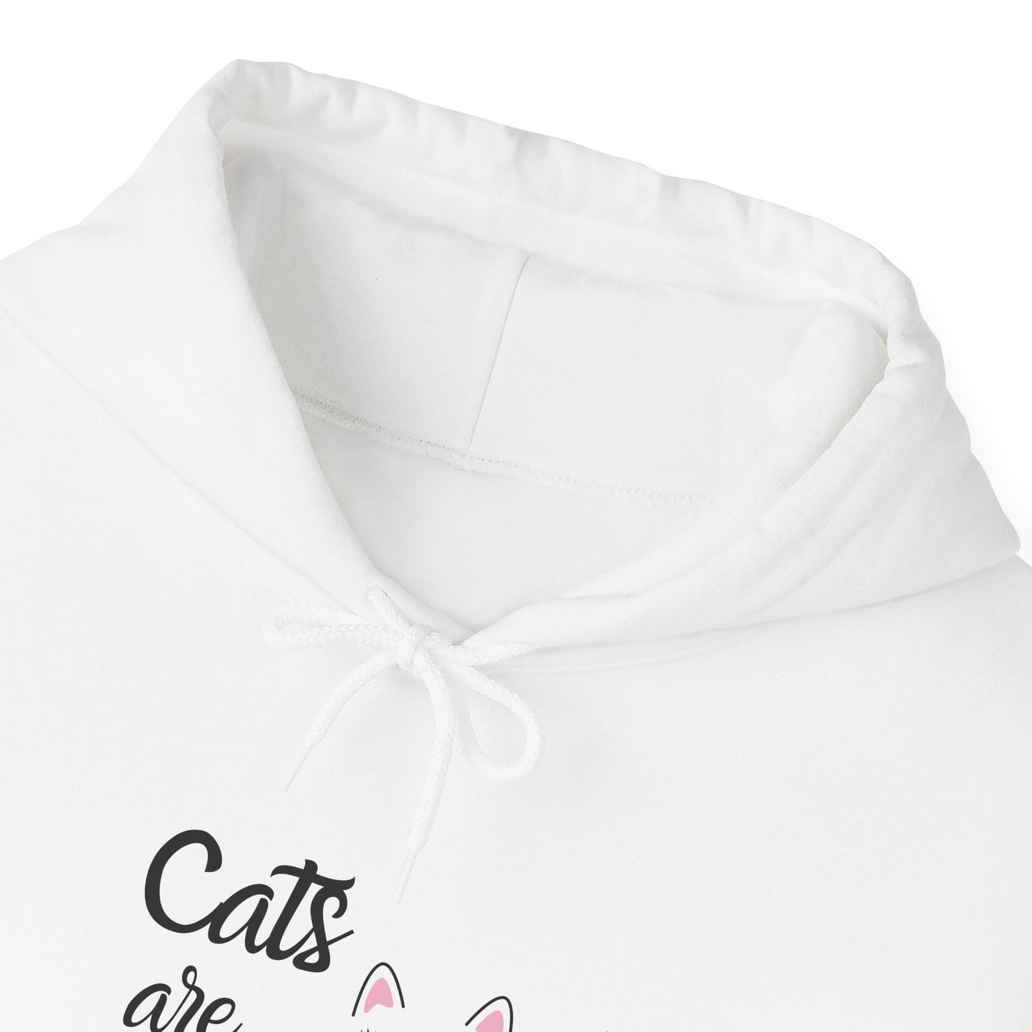 Unisex Heavy Blend™ Hooded Sweatshirt - Cats are Fabulous print