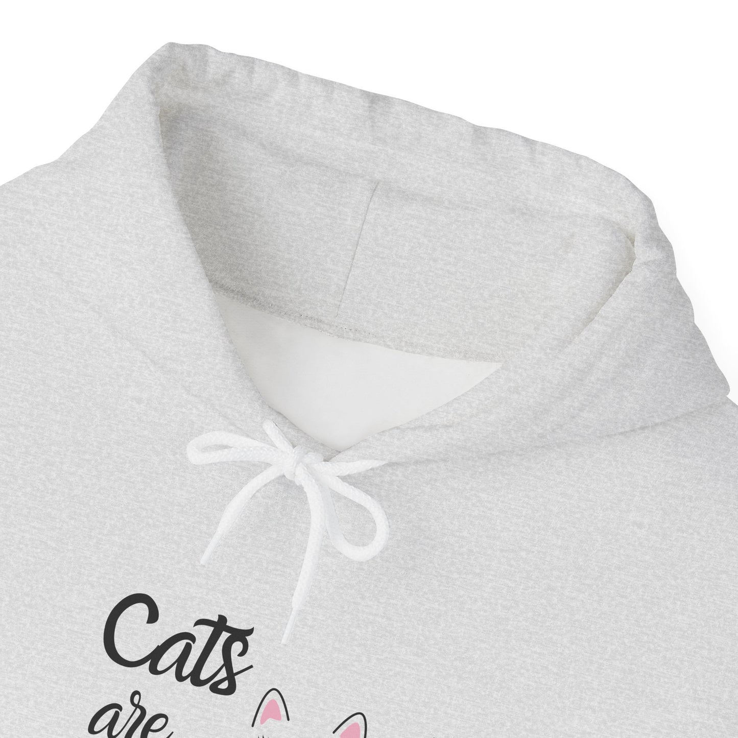 Unisex Heavy Blend™ Hooded Sweatshirt - Cats are Fabulous print